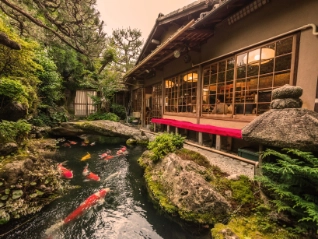 Japanese garden with koi carp