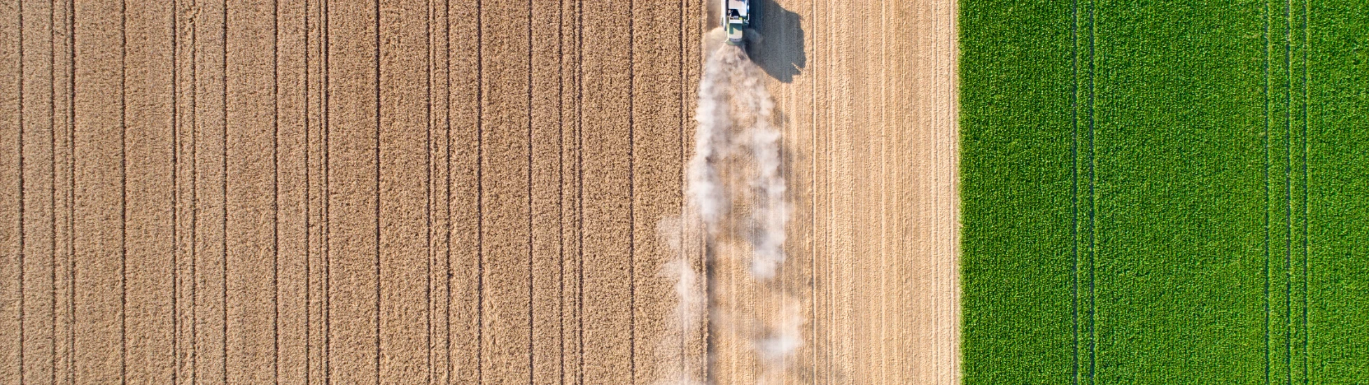 Over head view of farming tractor ploughing a field