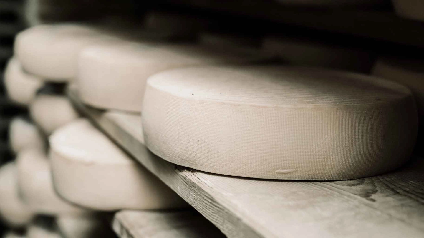 Rounds of cheese stacked on shelves - Lacto Testimonial testimonial | Atradius
