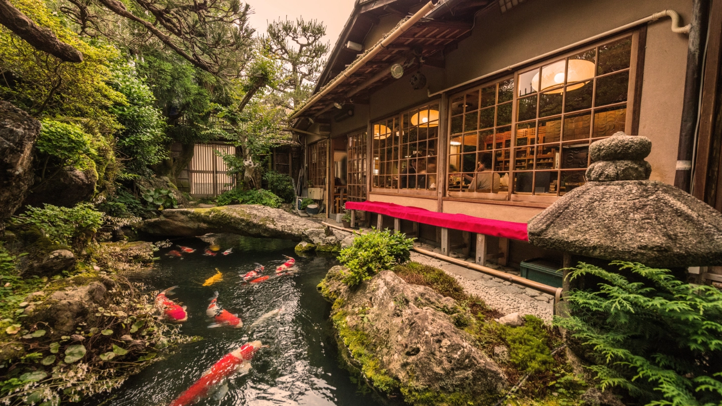 Japan Japanese garden with koi carp